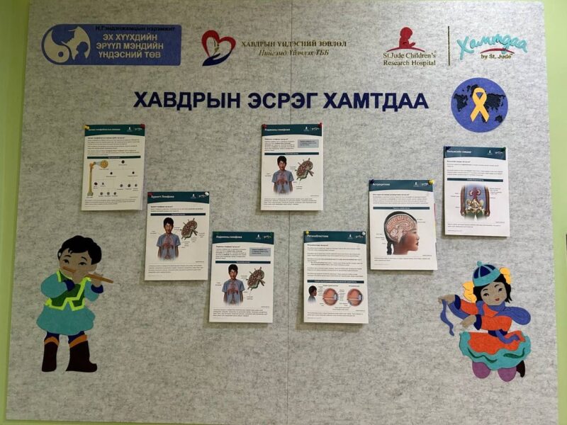 Tsetsegsaikhan Batmunkh: Factsheets for parents on childhood cancers and essential medicines in the Mongolian