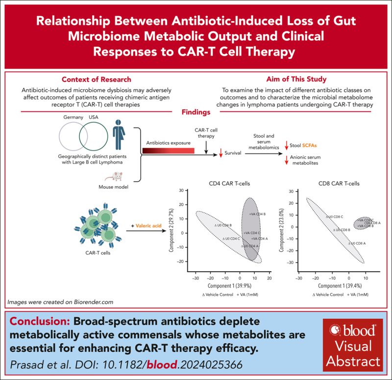 John Gordon: Successful CAR Tcell Therapy - "It's a Bug's Life"