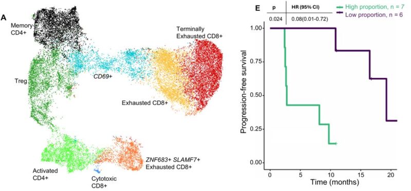 Lena Wirth: TLS and T-Cell Exhaustion Drive PD-1 Blockade Responce in RCC