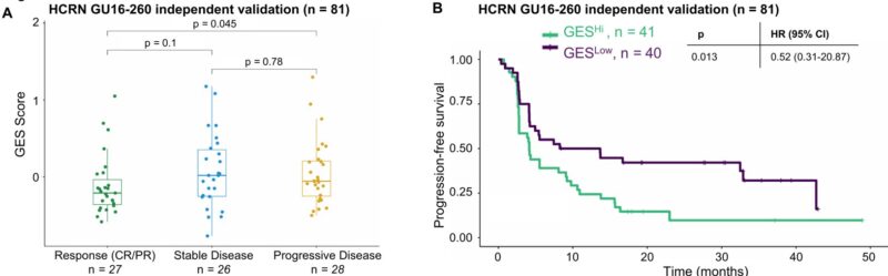 Lena Wirth: TLS and T-Cell Exhaustion Drive PD-1 Blockade Responce in RCC