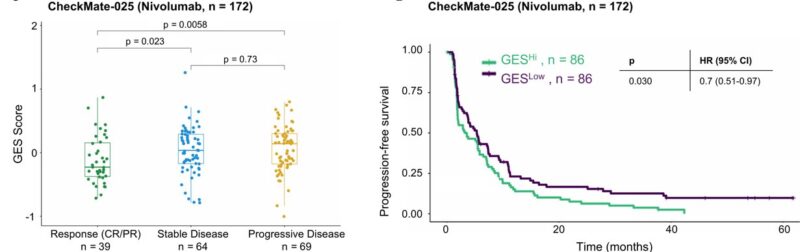 Lena Wirth: TLS and T-Cell Exhaustion Drive PD-1 Blockade Responce in RCC