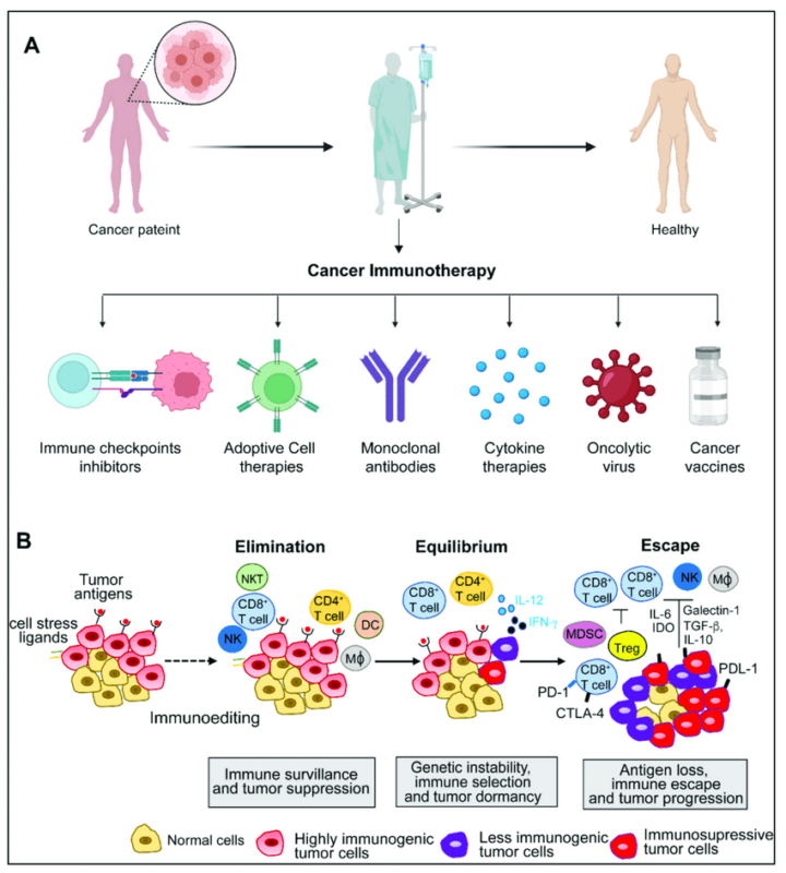 Immunotherapy