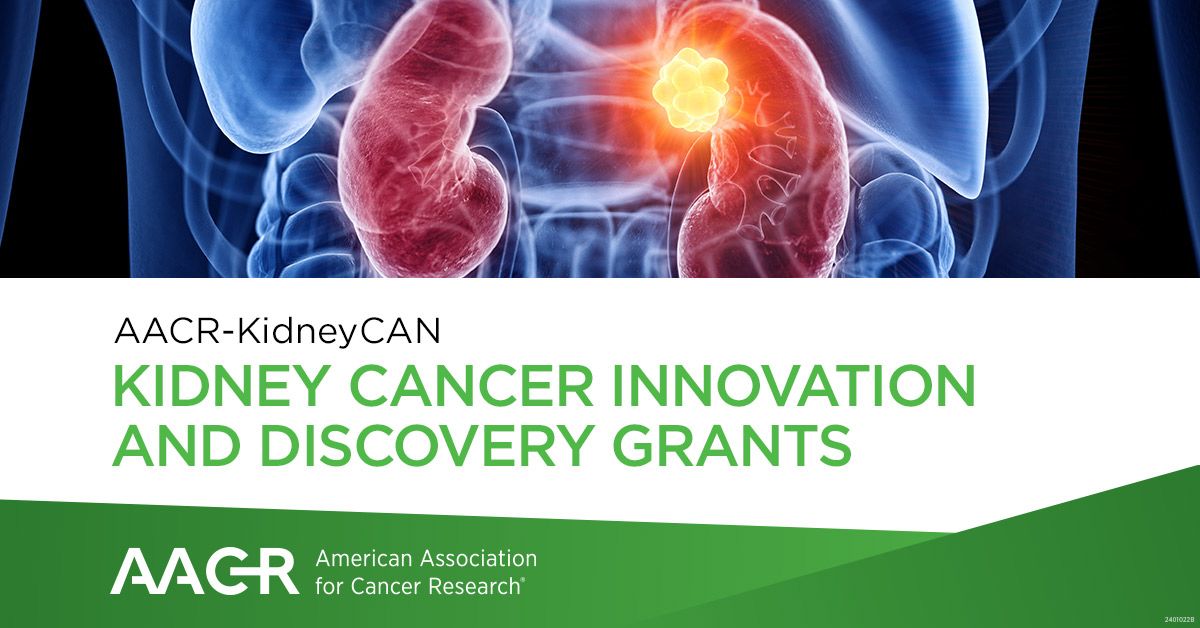 The AACR-KidneyCAN Kidney Cancer Innovation and Discovery Grants