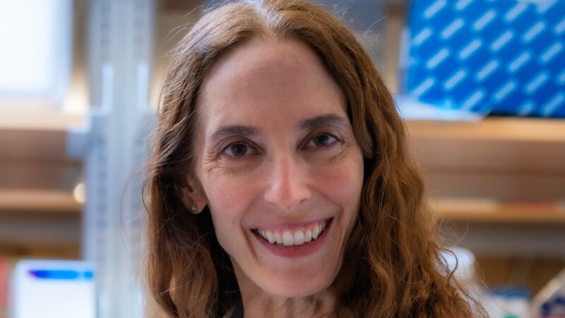 Kimberly Stegmaier