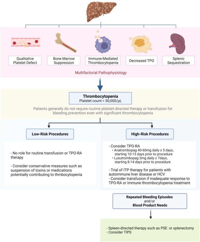 Learning hematology in 2025 with Nico Gagelmann: Part 3