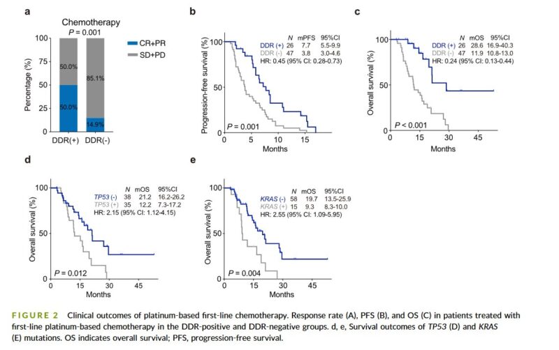 DDR mutations and outcome in biliary tract cancers