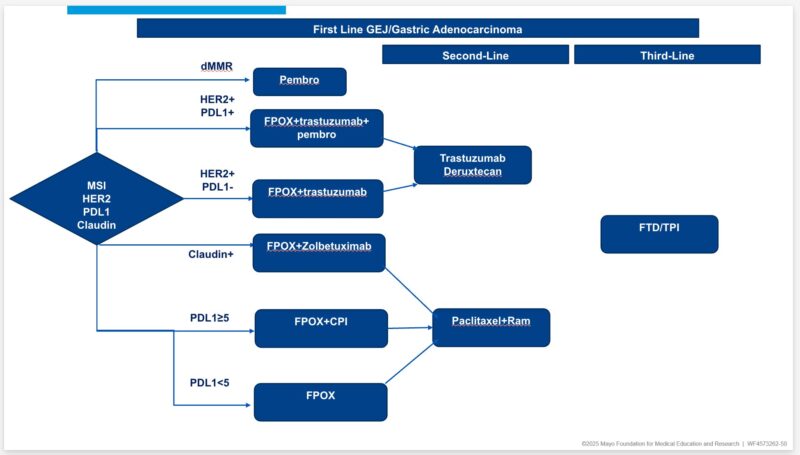 Thor Halfdanarson: A good summary on the management of GEJ/gastric adenocarcinoma