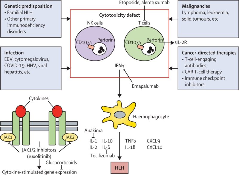 Learning hematology in 2025 with Nico Gagelmann: Part 3