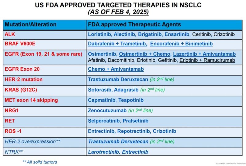 Thor Halfdanarson: Fantastic review of therapy options for NSCLC by Rami Manochakian