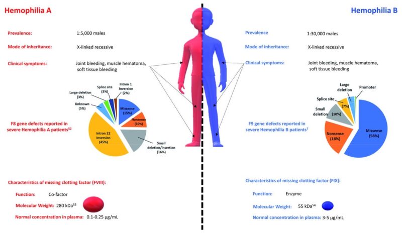 Learning hematology in 2025 with Nico Gagelmann: Part 3