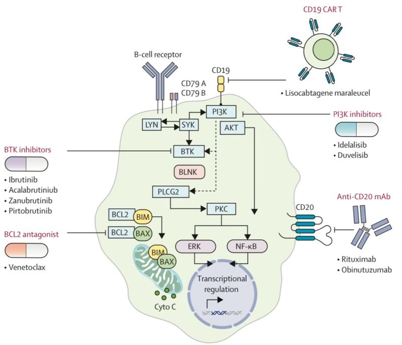 Learning hematology in 2025 with Nico Gagelmann: Part 3