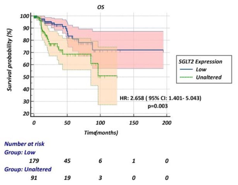 Erman Akkus: Our study on SGLT2 and papillary RCC