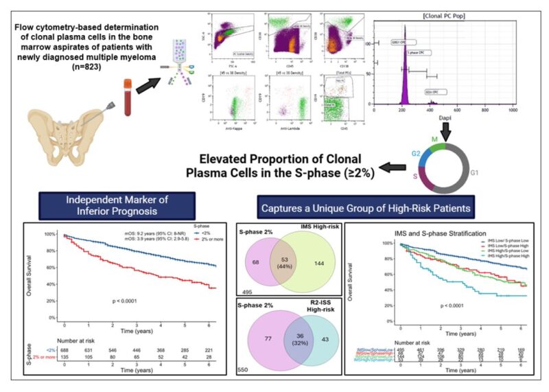 Saurabh Zanwar: Clonal plasma cell proportion in the S-phase in multiple myeloma