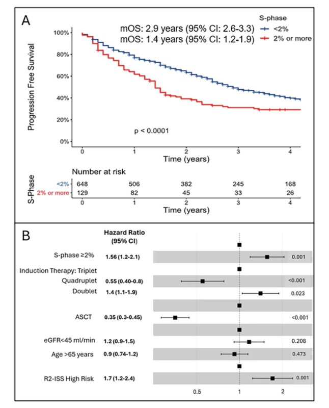 Saurabh Zanwar: Clonal plasma cell proportion in the S-phase in multiple myeloma