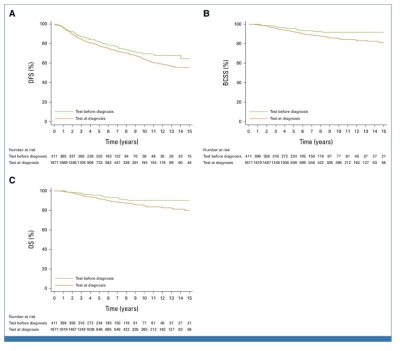 Elisa Agostinetto: Different clinical behavior of breast cancer in young BRCA1 and BRCA2 carriers