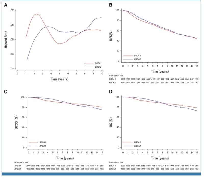 Elisa Agostinetto: Different clinical behavior of breast cancer in young BRCA1 and BRCA2 carriers