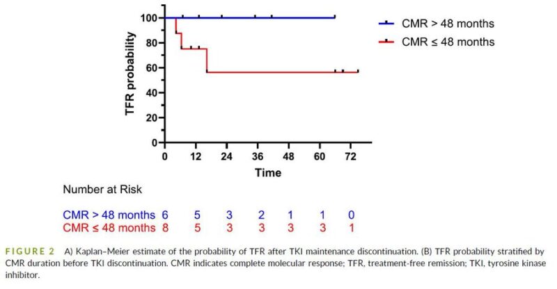 Nitin Jain: Treatment-free remission in Ph+ ALL