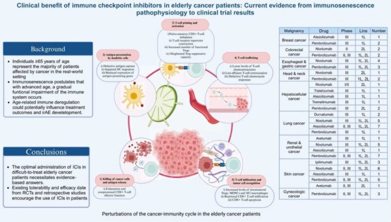 Yüksel Ürün: Immunotherapy works in elderly, but data gaps remain