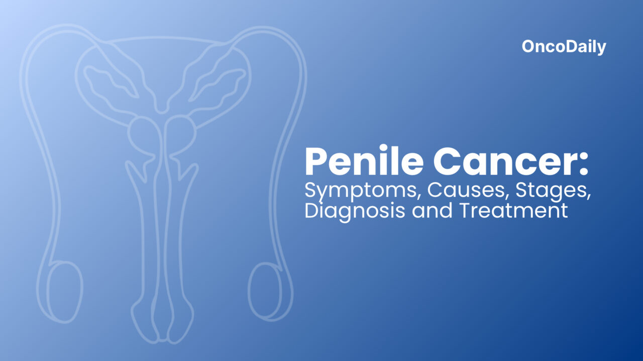 Penile Cancer: Symptoms and Causes, Stages, Diagnosis and Treatment