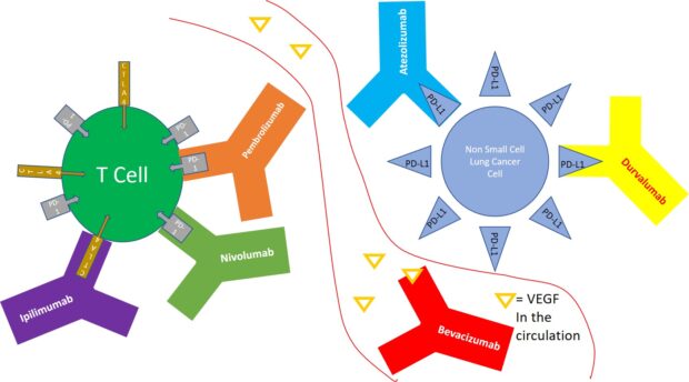 immunotherapy combination bevacizumab pembrolizumab