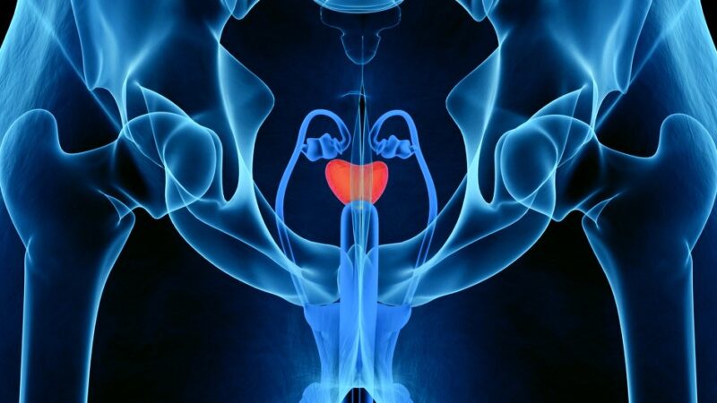 María Natalia Gandur Quiroga: Men’s Attitudes Towards Participation in Organised Prostate Cancer Testing