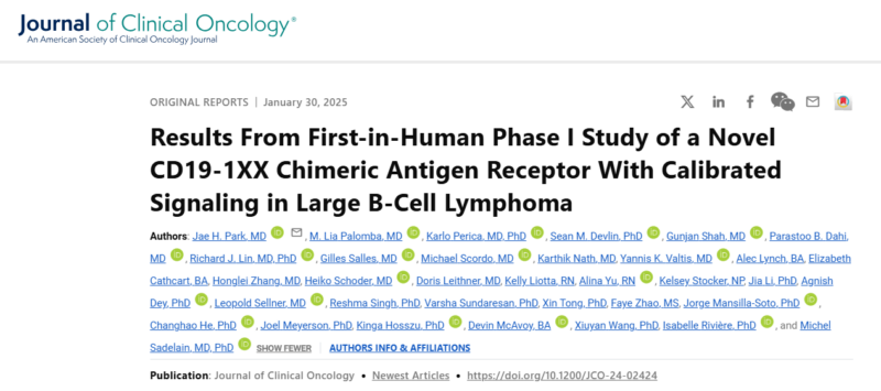 A novel CAR T cell therapy for people with large B-cell lymphoma by Jae Park et al. - MSK Department of Medicine