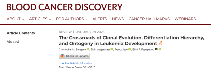 Eirini Papapetrou: Our new review article on leukemia stem cells