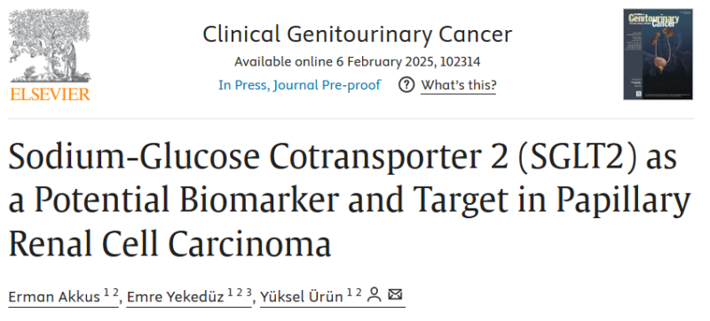 Erman Akkus: Our study on SGLT2 and papillary RCC