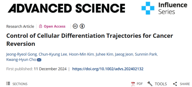 Yan Leyfman: A new computational tool to study gene regulation in cellular differentiation