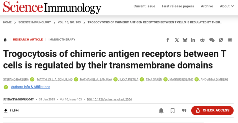 Yan Leyfman: New Research on Trogocytosis in CAR-T Cells