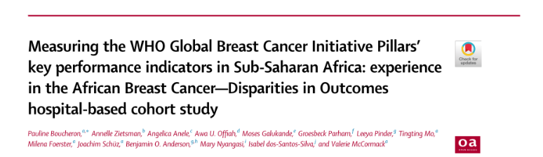 Valerie McCormack: Measuring the WHO Global Breast Cancer Initiative Pillars’ KPIs in Sub-Saharan Africa