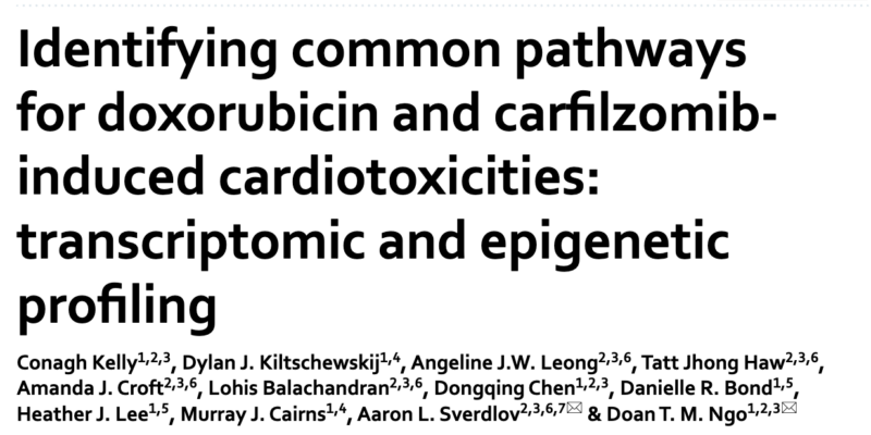 Aaron Sverdlov: Identifying common pathways for doxorubicin and carfilzomib-induced cardiotoxicities