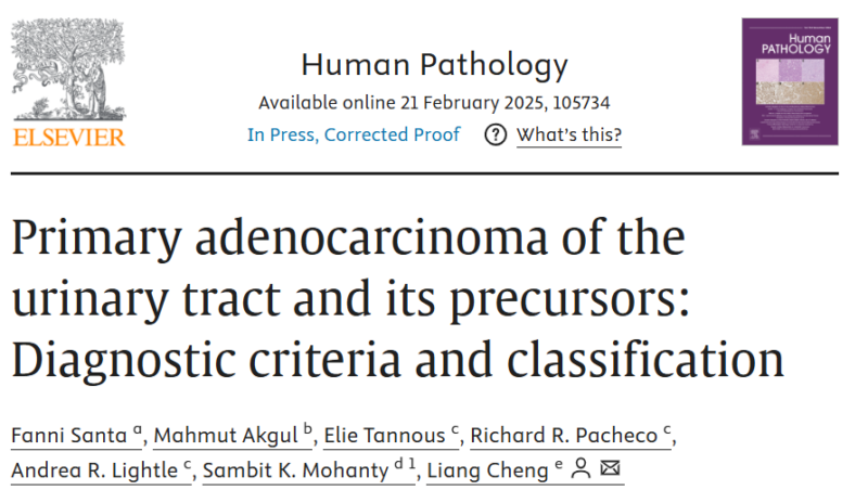 Primary Adenocarcinoma