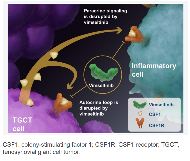 vimseltinib how does it work