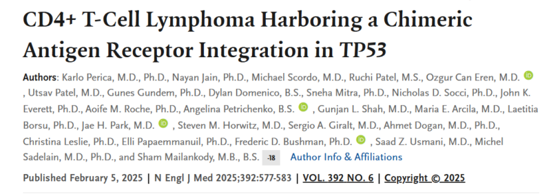 David Steensma: Lentiviral vectors construct integration into TP53