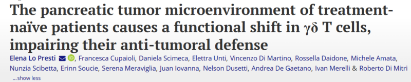 Nelson Dusetti: Investigating how the pancreatic tumor microenvironment affects γδ T cells