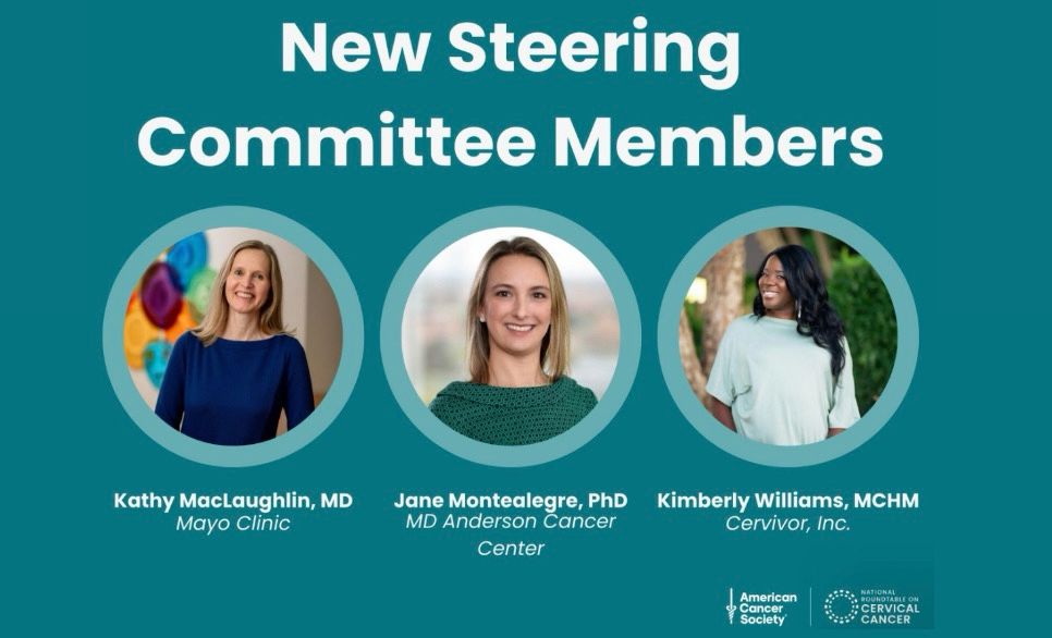 New Steering Committee Members at American Cancer Society National Roundtable on Cervical Cancer