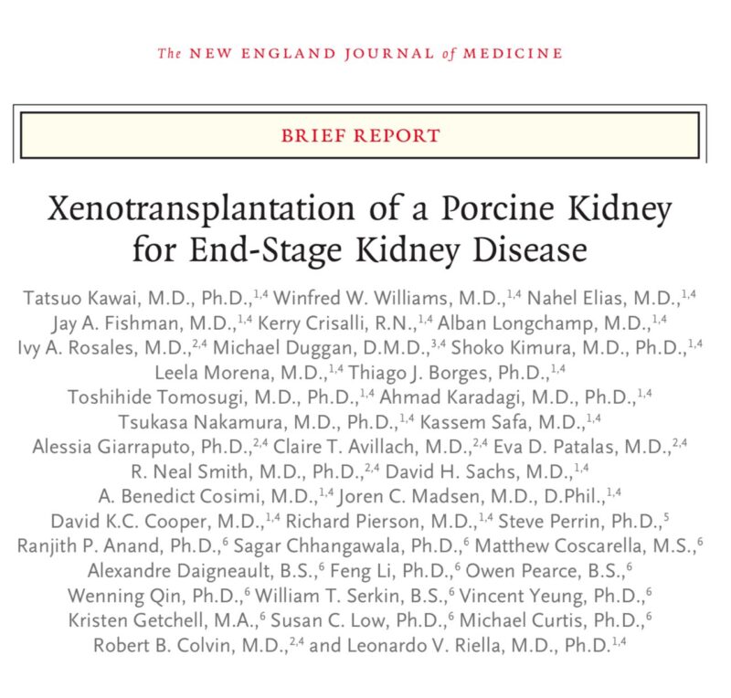 Leela Morená: Xenotransplantation of a porcine kidney for end-stage kidney disease