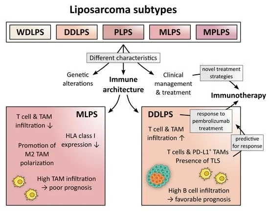 Liposarcoma subtypes