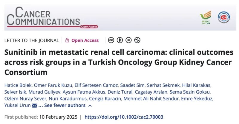 Hatice Bölek: Sunitinib in metastatic renal cell carcinoma