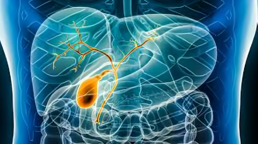 DDR mutations and outcome in biliary tract cancers