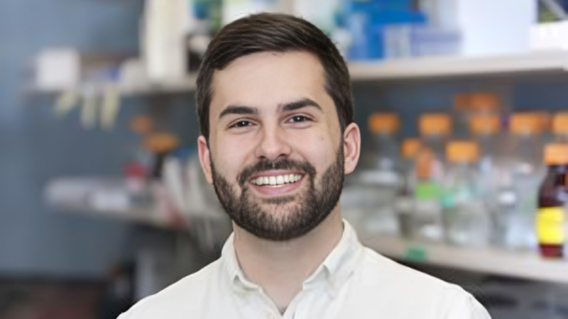 A nucleosome switch primes hepatitis B virus infection by Nicholas Prescott et al