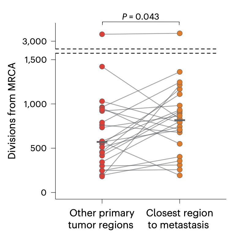 Kamila Naxerova: Quantifying cell divisions along evolutionary lineages in cancer