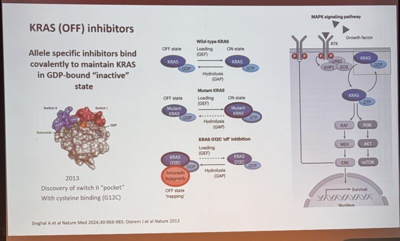 Stephen Liu: The KRAS G12C space in NSCLC at ITCD2025