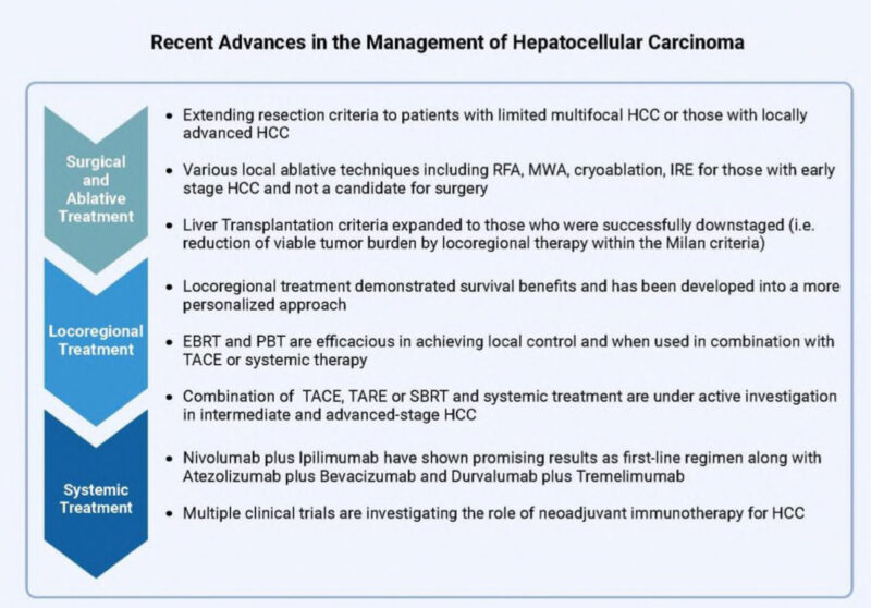 Advances in Hepatocellular Carcinoma: A Comprehensive Update on Epidemiology, Diagnosis, and Treatment