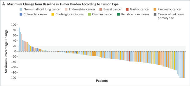 zenocutuzumab results