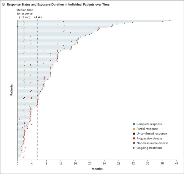 zenocutuzumab results