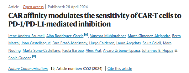 Lusine Hovhannisyan: How the affinity of CAR T cells for their target antigen influences their sensitivity to this suppression