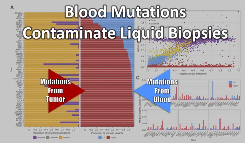 Tom Fleischer: Liquid Biopsy’s Unseen Limitation