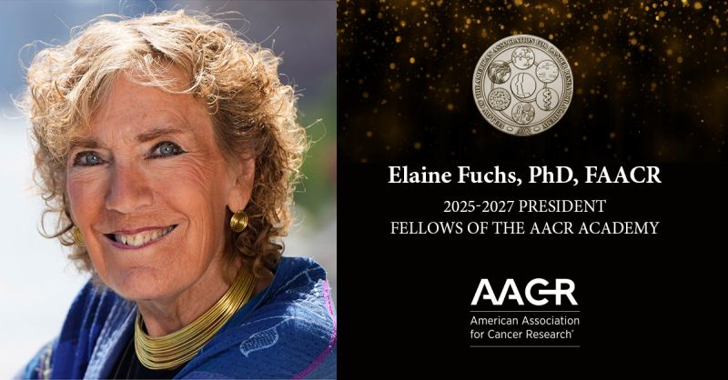 AACR Announces 2025 Class of Fellows and New Academy President